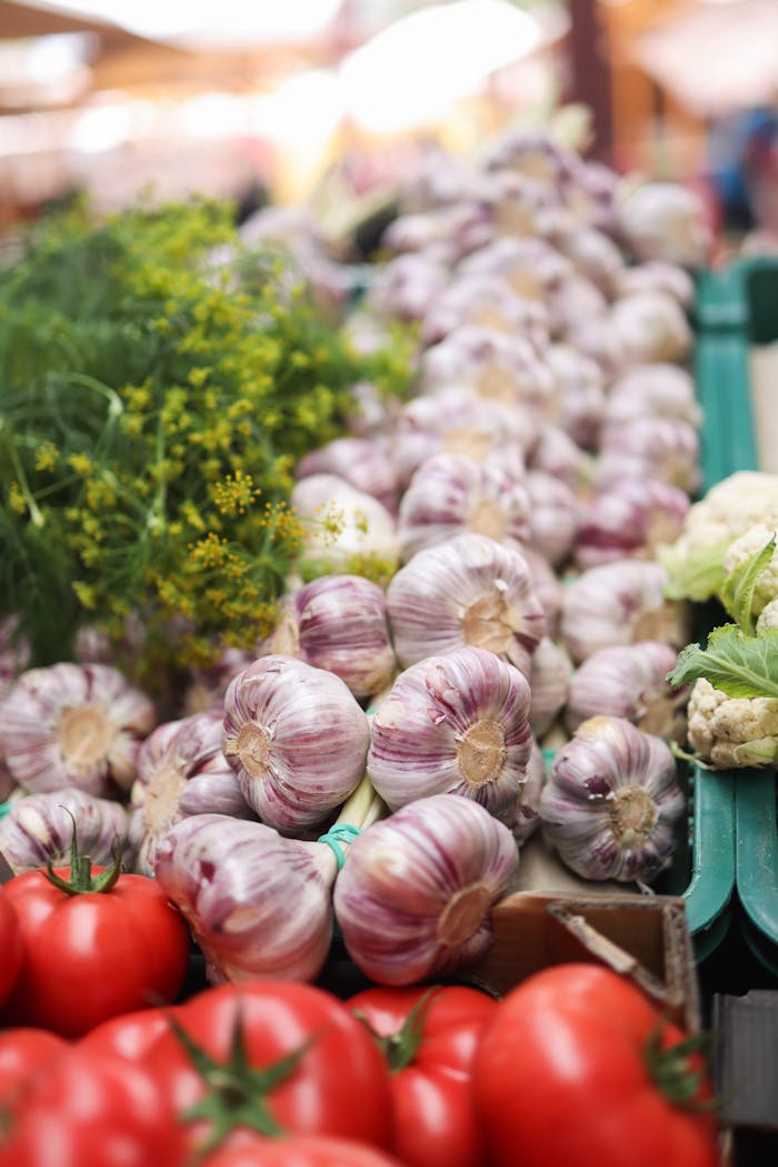 Pexels Photo 26950758